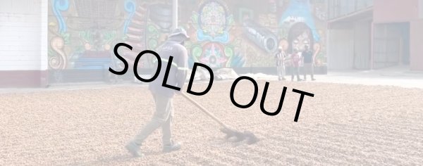 画像2: コスタリカ　ジャガーハニー[イエローハニー] (2)