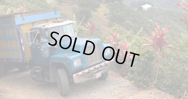 画像5: コスタリカ　ジャガーハニー[イエローハニー] (5)