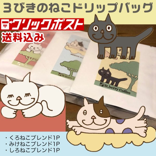 画像1: ■送料込【ドリップバック】３びきのねこドリップバッグ3Pセット (1)