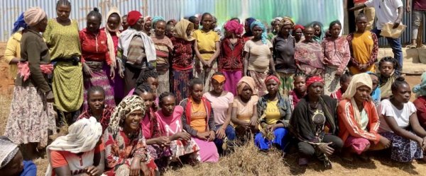 画像4: エチオピア　モカ イルガチェフェ イディド (4)