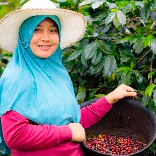 画像5: インドネシア　コピ ジェルク (5)