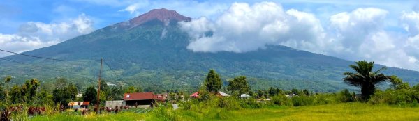 画像2: インドネシア　コピ ジェルク (2)