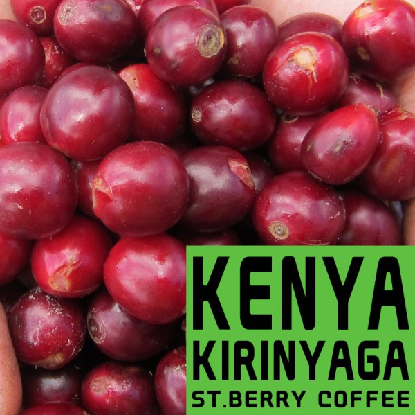 画像1: ケニア　キリニャガ (1)