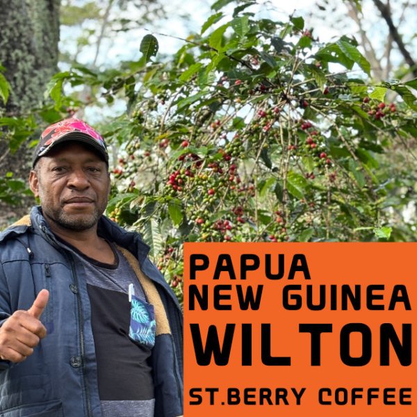 画像1: パプアニューギニア　ウィルトン (1)