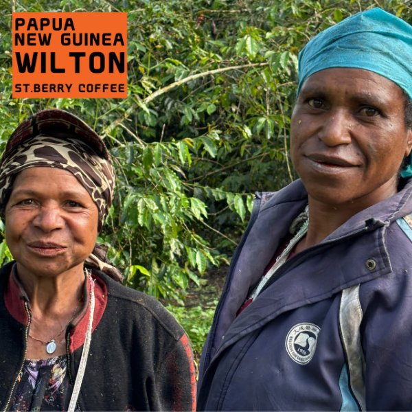 画像5: パプアニューギニア　ウィルトン (5)