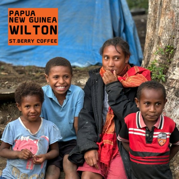 画像6: パプアニューギニア　ウィルトン (6)