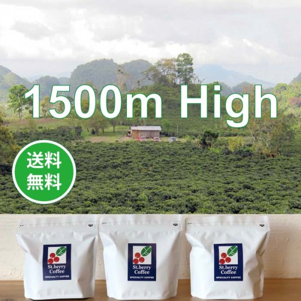 画像1: 【ネットショップ限定】 1500m High  250g x 3種＊送料無料 ※お届け先が北海道・沖縄県は除く＊ (1)