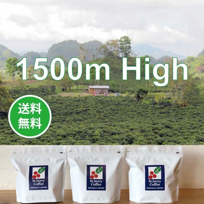 【ネットショップ限定】 1500m High  250g x 3種＊送料無料 ※お届け先が北海道・沖縄県は除く＊